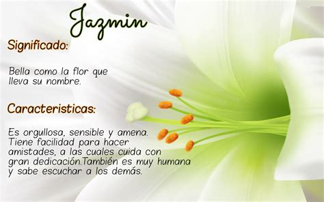 Significado de la flor Jazmín